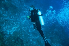 Deana Clark Model Dive